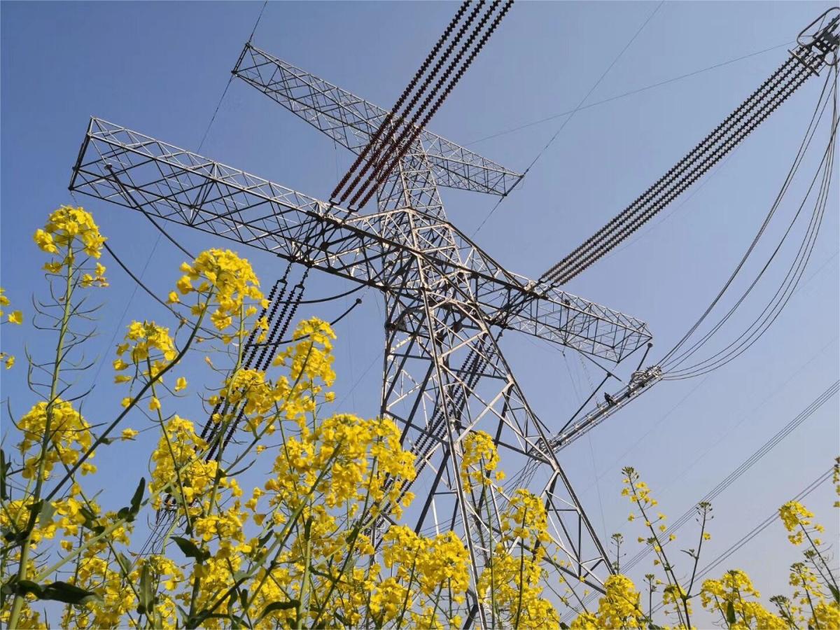 两金一鲁班 两金一鲁班